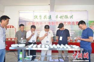 南阳茶乡新闻头条最新,探寻千年茶文化的绿色秘境