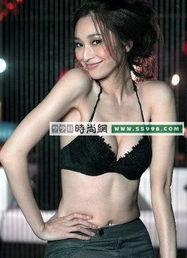 女性感明星,女性感明星的闪耀时刻