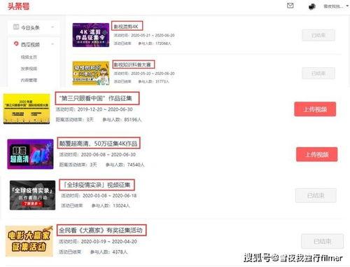 头条音乐视频原创审核,坚守品质，打造纯净视听空间