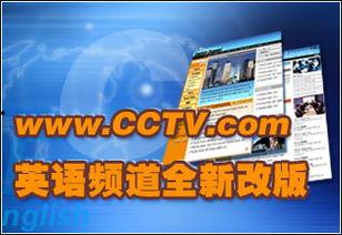 广西兴城头条新闻直播,聚焦最新动态，直播民生热点