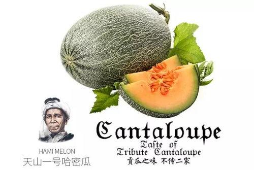 各种吃瓜群众分享,揭秘娱乐圈幕后真相