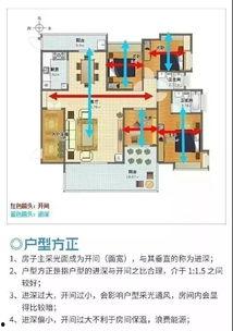 头条户型设计师工资,头条户型设计师薪资水平，行业薪资大揭秘！