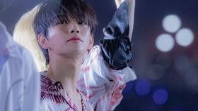 洪知秀直播爆料视频大全,揭秘精彩瞬间与幕后故事