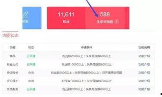 头条号导入流量收益,揭秘高效变现之道